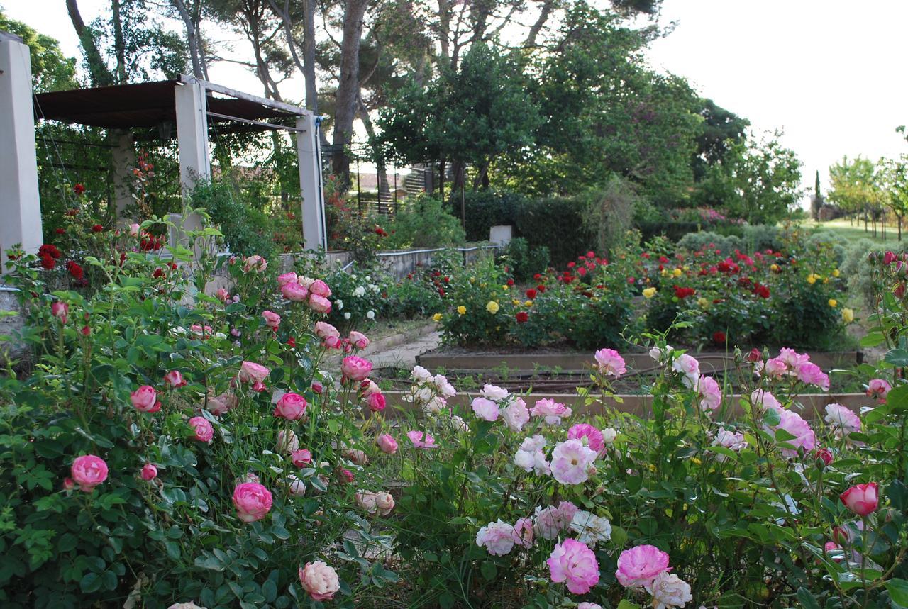 Chateau Sainte Colombe Bed & Breakfast Екстериор снимка